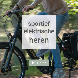 Elektrische Sportieve fietsen Heren